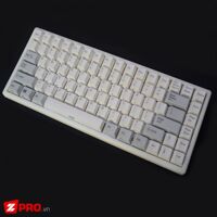Bàn phím cơ NIZ Plum 84 Pro 2.0