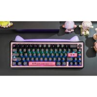 Bàn phím cơ Paw65 | Nhôm CNC | Mạch Xuôi | 3 Modes