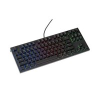 Bàn phím cơ Realforce R2 RGB - Mechanical Topre 45gram switch TKL Black R2TLA-US4G-BK