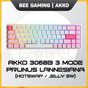 Bàn phím -Keyboard Akko 3068B Multi-modes Prunus Lannesiana