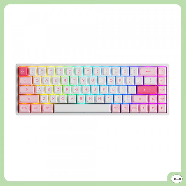 Bàn phím -Keyboard Akko 3068B Multi-modes Prunus Lannesiana