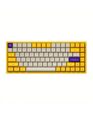 Bàn phím - Keyboard Akko 3084 v2 ASA