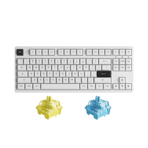 Bàn phím - Keyboard Akko 3087 RF Black on White