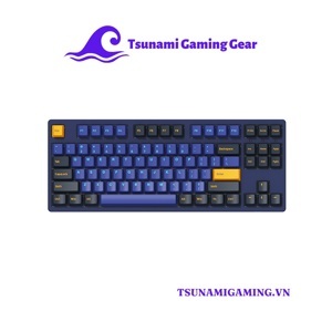 Bàn phím - Keyboard Akko 3087 v2 DS Horizon