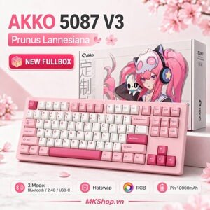 Bàn phím - Keyboard Akko 5087 RGB ASA