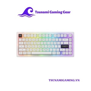 Bàn phím - Keyboard Akko ACR Pro 75