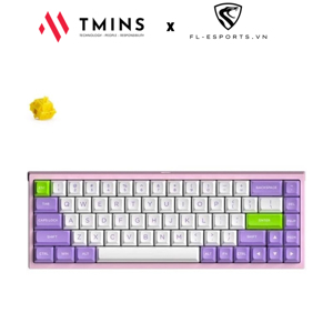 Bàn phím - Keyboard FL-Esport FL680SAM