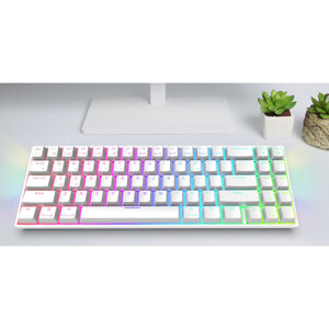 Bàn phím - Keyboard Royal Kludge RK71 RGB