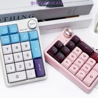 Bàn phím số không dây ZHIXAOWAN 2.4G, Đèn nền trắng trong suốt Bàn phím nhỏ Bluetooth, Bàn phím số di động Bàn phím số Mini USB chống nước PC