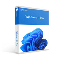 Bản Quyền Windows 11 Pro 64Bit Vĩnh Viễn