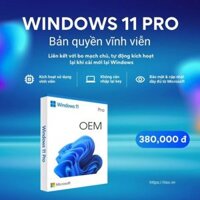 Bản quyền Windows 11 Pro (Liên kết với Mainboard)