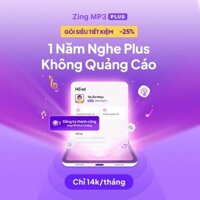 Bản quyền Zing MP3 Plus
