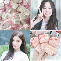 Bán Sỉ Cả Lố 50 Bông đôi đánh phấn essance