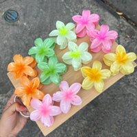 [BÁN SỈ] Kẹp Hoa Sứ Hot Xu Hướng Mới Màu Thạch Pastel, Kẹp Tóc Hoa Sứ Càng Cua Thời Trang Đi Biển Phụ Kiện Tóc Nữ
