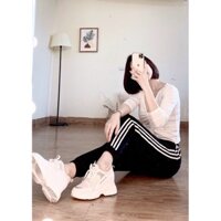 bán sỉ quần bo gấu 3 sọc