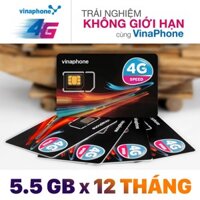 Bán Sỉ - Sim Vina D500 tặng 5,5gb/tháng Trọn Gói 1 Năm Không Nạp Tiền - SIM 4G Vinaphone