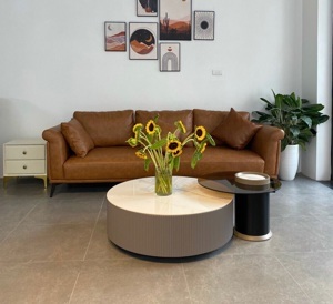 Bàn sofa gỗ BS116