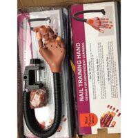 Bàn tay giả học đắp bột , gel ( tặng kèm 100 móng )