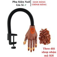 Bàn tay giả học nail, bàn tay giả có khớp