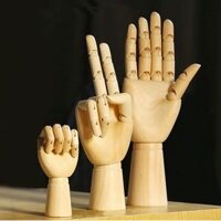 Bàn tay Gỗ vẽ Kiến trúc Mannequin (Wooden Hand)