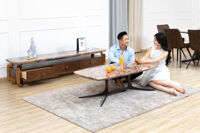 Bàn trà hiện đại mã S1719