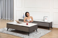 Bàn trà sofa FA005 - Ấn tượng vẻ đẹp tối giản
