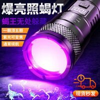 Bán Triệu + Đèn Bọ Cạp Cầm Tay Công Suất Cao Có Thể Sạc Lại Đèn Mạnh Mẽ Máy Dò Tiền Tiện Lợi Mèo Rêu Tuổi Thọ Pin Dài Đèn Pin 0218