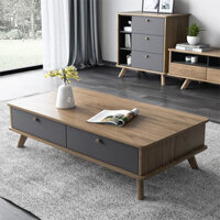 Bàn uống nước phòng khách bằng gỗ GHT-4239