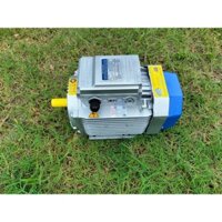 BÁN XẢ KHO mô tơ điện 220v 3kw 2900v/p Toàn Phát lõi đồng