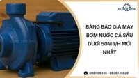 Bảng báo giá máy bơm nước cá sấu dưới 50m3/h mới nhất 03/2026