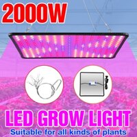 Bảng Đèn LED Trồng Cây Trong Nhà 2000W 220V 110V