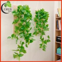 Bảng gỗ treo tường cao cấp kèm lọ thủy tinh trồng cây thủy sinh, cắm hoa lá nhiều mẫu hoa trang trí