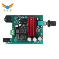 Bảng khuếch đại công suất Mô-đun khuếch đại loa siêu trầm Mono TPA3116 có độ nhạy cao với NE5532 OPAMP