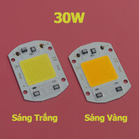 Bảng Led COB siêu sáng Chip LED 20W 30W 50W 220V - 30W - Vàng