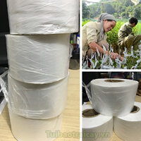 Băng nilon ghép cây tự hủy - G3