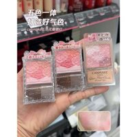 Bảng phấn má hồng năm màu Petal Blush Shimmer Matte Highlighter Contour Palette Apricot Hibiscus 02 của CANMAKE Nhật Bản