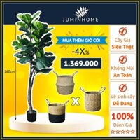 Bàng Singapore 160cm và Giỏ cói, Cây giả Decor trang trí nhà cửa nội thất phòng khách, phòng ngủ juminhome