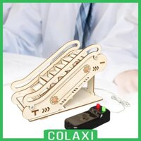 Băng tải Đồ chơi 3D Xếp hình Đồ chơi xây dựng Khoa học Nhận thức Vật lý Thí nghiệm