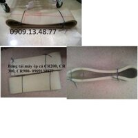 Băng tải máy ép cá, máy tách xương cá, máy lọc xương cá làm chả CR300