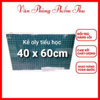 Bảng Từ Xanh Kẻ Ô Ly Tiểu Học Kích Thước 40x60cm