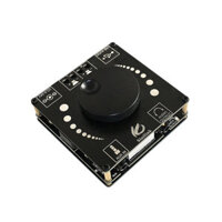 Banggood XY-AP50H 50W+50W HIFI Bluetooth 5.0 Wireless Audio TPA3116D2 Digital Power Amplifier Stereo board 50Wx2 Amp Amp