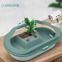 Bangshe Nhà bò sát 1 Hộp đựng thức ăn rùa bằng nhựa đa năng thực tế có thể tháo rời