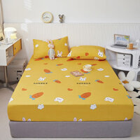 Bánh BÁNH VƯỜN 3 in1 với 2 vỏ gối Đơn / Đôi / Nữ hoàng / King Size