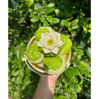 Bánh Bao Hoa Sen, Ngọc Liên Hoa nhân Cốm Xào hộp gồm 5 bánh