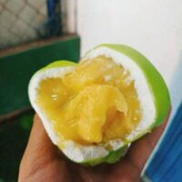BÁNH CREP SẦU RIÊNG ĐẶC BIỆT