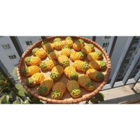 Bánh dứa mini 1kg