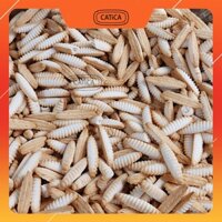 Bánh Đuông cốt dừa thùng 5Kg (Bánh Sâu)