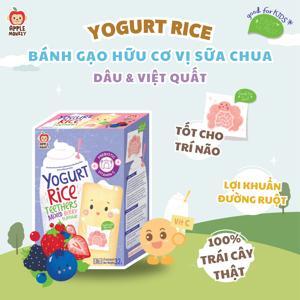 Bánh gạo organic Apple Monkey bổ sung Omega 3 & DHA