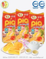 Bánh Pía Chay Sầu Riêng Không Sắc Hộp  400g