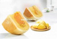 Bánh Pía Đậu Xanh Sầu Riêng 1 Trứng Công Lập Thành